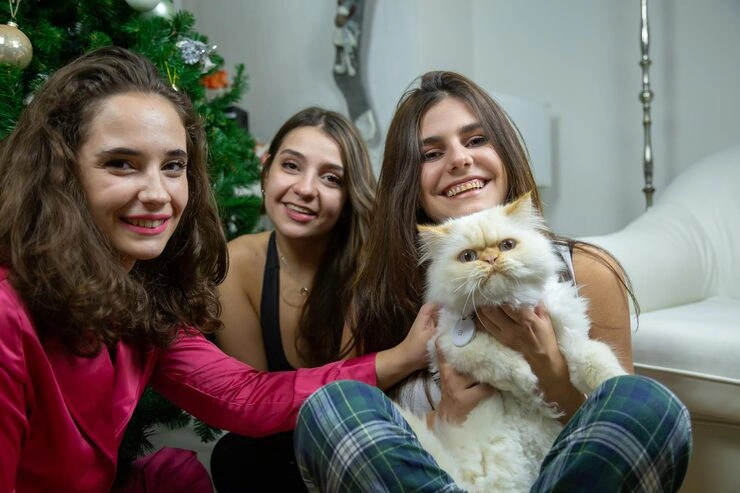 Door-to-Door Transportation