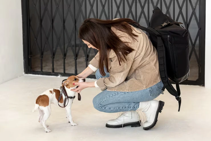 Door to Door Pet Relocation Services From Canada to Bulgaria