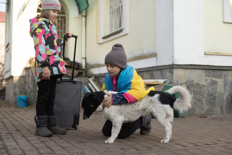 Door to Door Pet Relocation Services From Canada to Serbia