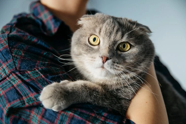 Emergency Contingency Planning