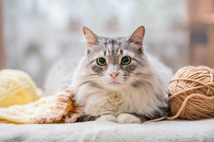 Emergency and Contingency Planning