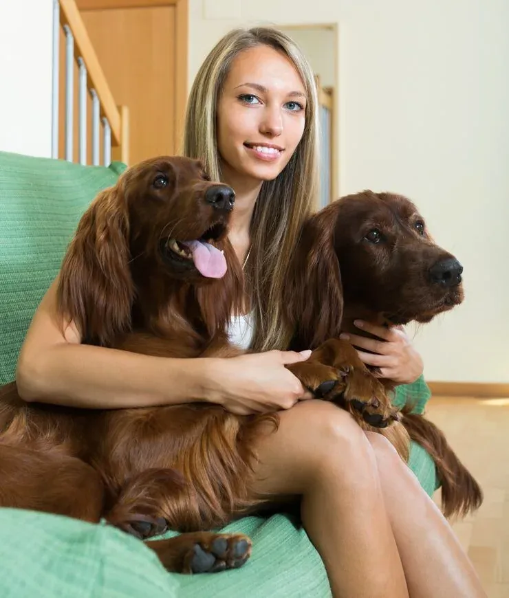 End-to-End Dog Relocation Planning