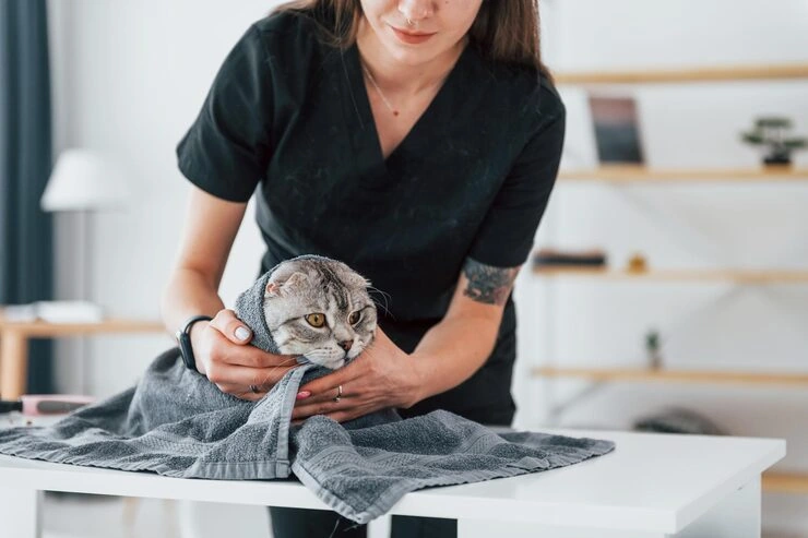 Executive Family Pet Relocation Services From Canada to Scotland