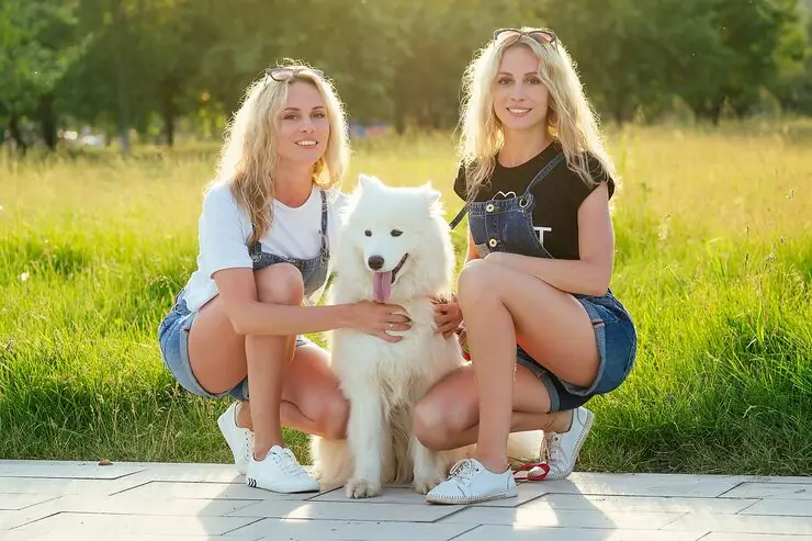 Executive Family Pet Relocation Services From Canada to Switzerland