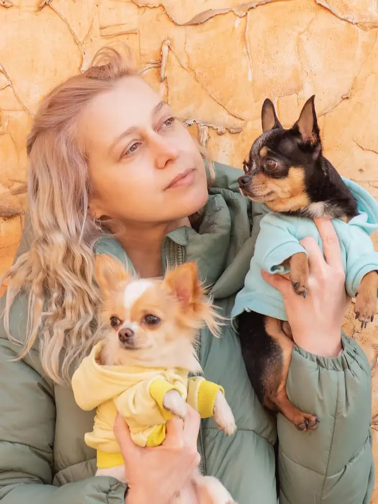 Executive Family Pet Relocation Services From Canada to Switzerland