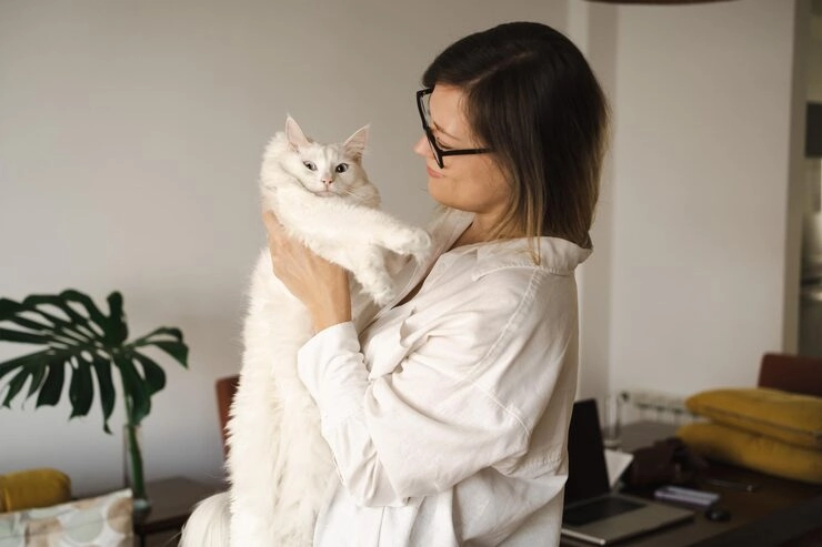 Executive Family Pet Relocation Services From Canada to the Netherlands