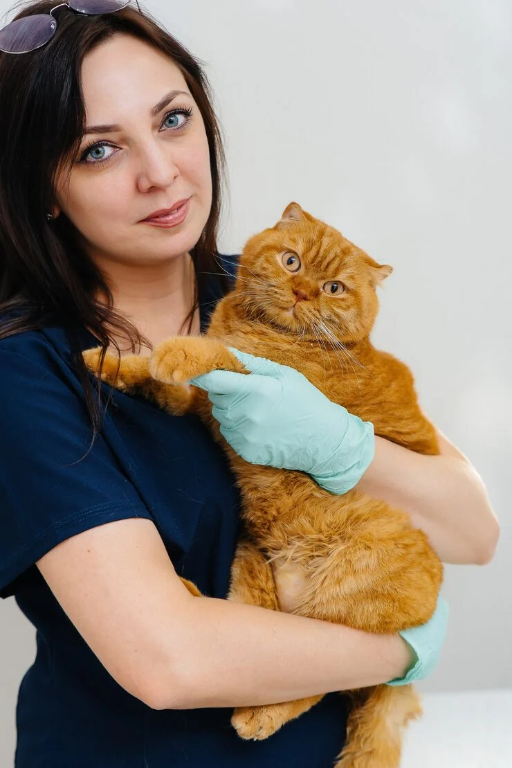 Executive Family Pet Relocation Services From Canada to the UK