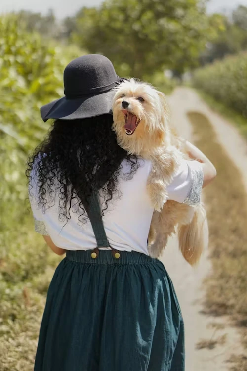 Executive-Level Relocation Management​