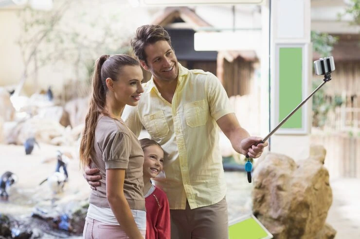 Exotic Pet Relocation From Canada to Portugal