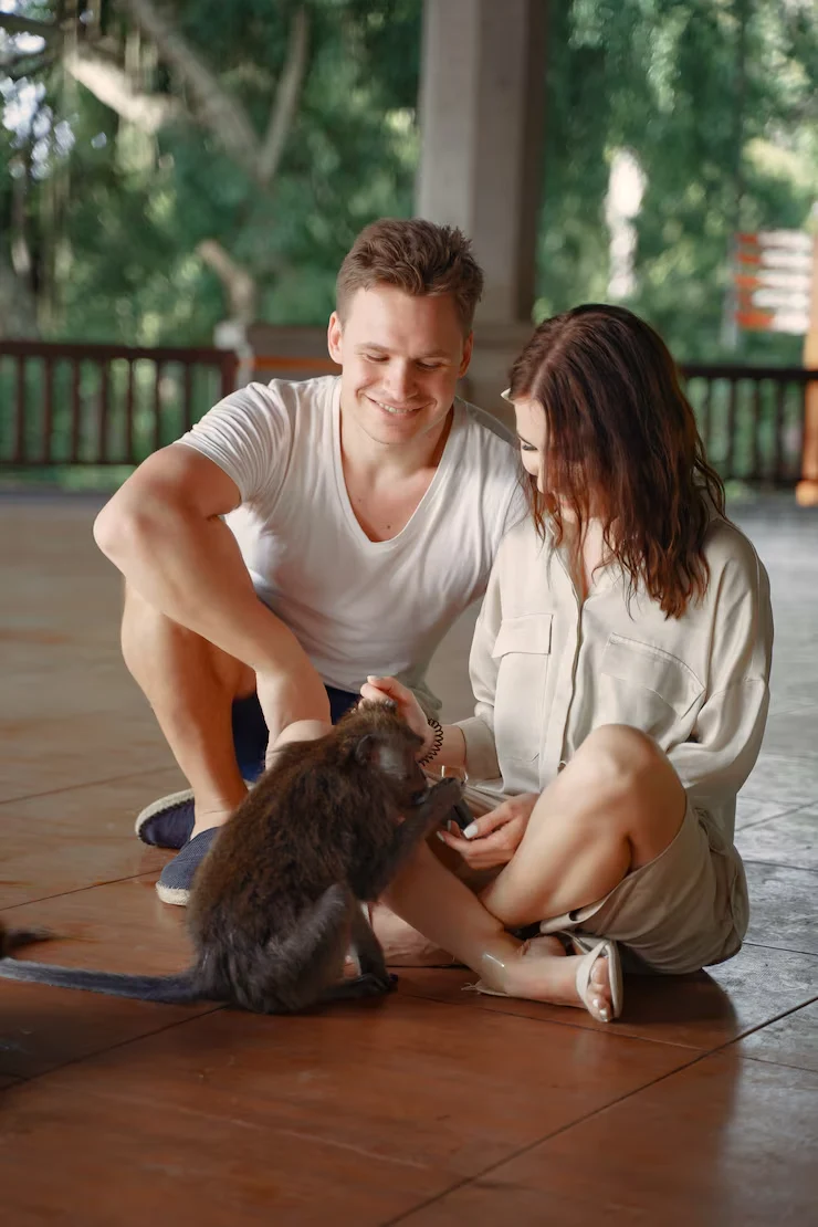 Private Jet Pet Relocation Services From Canada to the UK