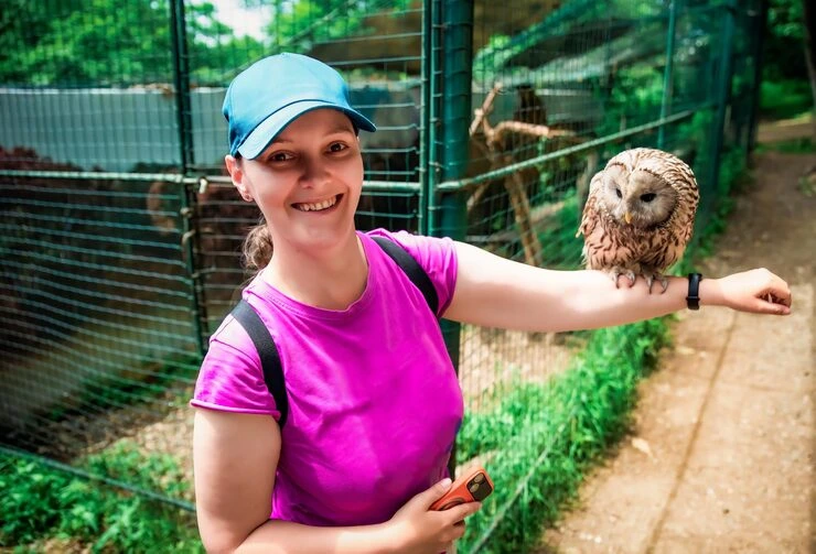 Exotic Pet Relocation Services from Canada to Switzerland