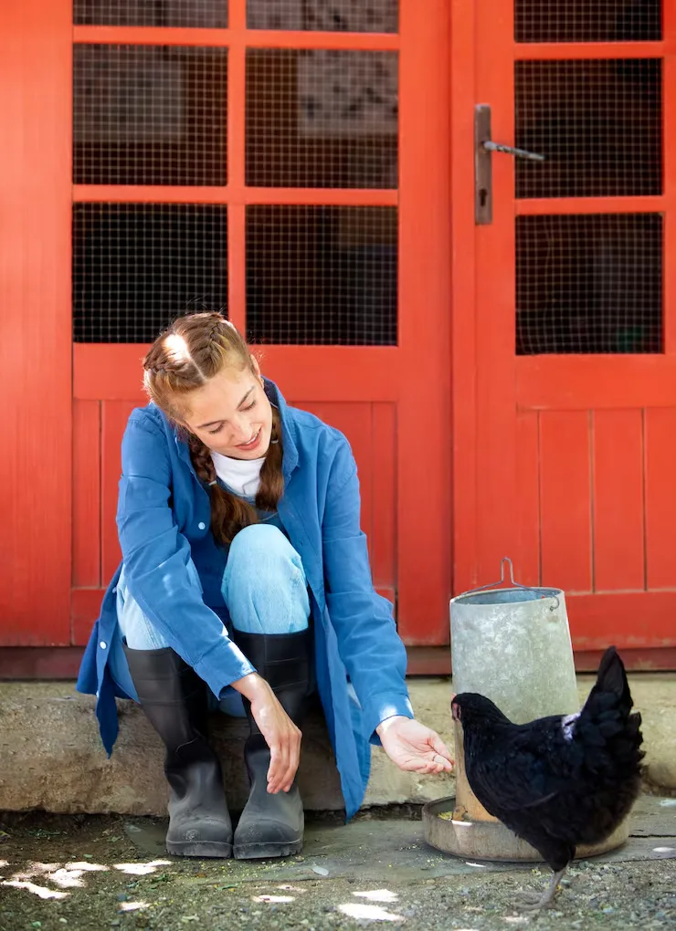 Exotic Pet Relocation Services From Canada to Austria