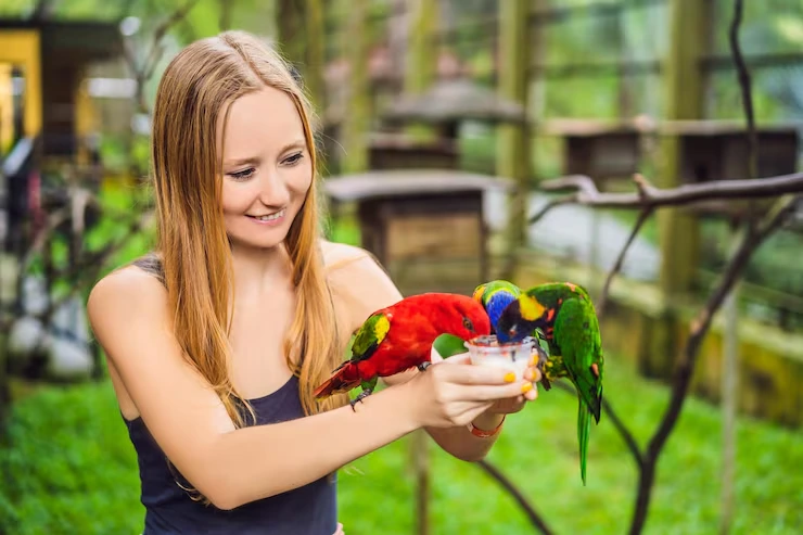 Exotic Pet Relocation Services From Canada to Austria