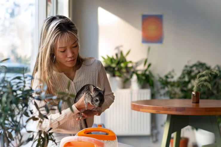 Exotic Pet Relocation Services From Canada to Denmark