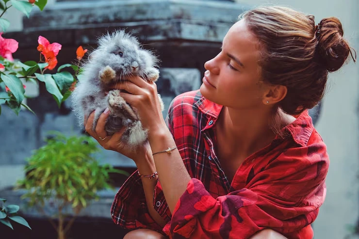 Exotic Pet Relocation Services From Canada to France 