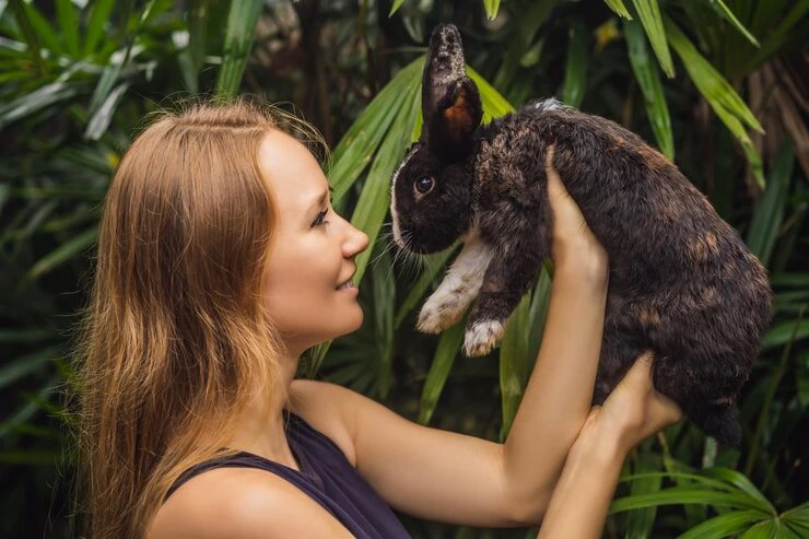 Exotic Pet Relocation Services From Canada to Germany 