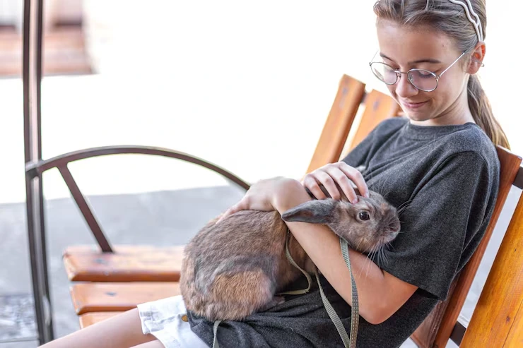 Exotic Pet Relocation Services From Canada to Italy