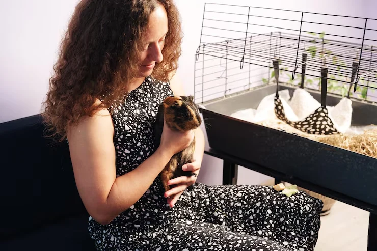 Exotic Pet Relocation Services from Canada to Romania