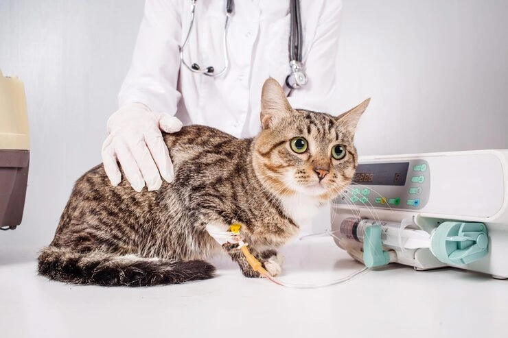 Flight Booking and Carrier Coordination