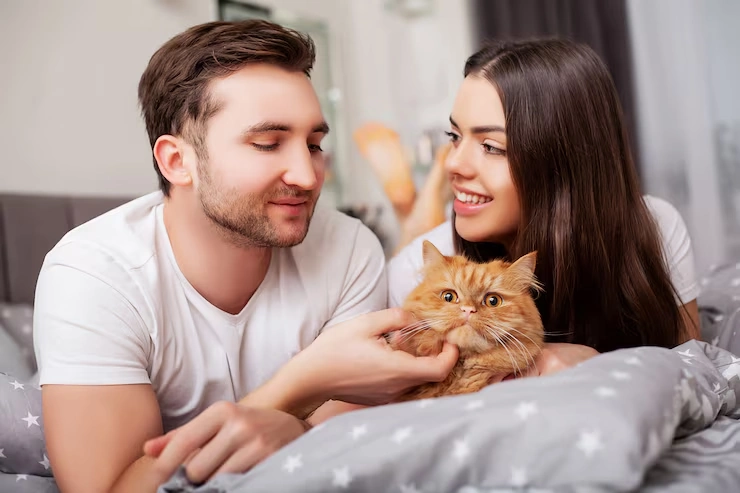 Flight and Route Planning for Cat Transport