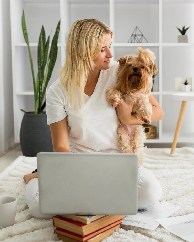 German Customs Clearance and Arrival Coordination