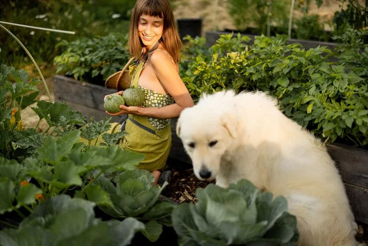 Ground Handling and Arrival Logistics in Italy