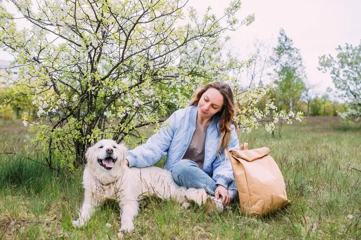 Ground Handling and Secure Transfers in Canada​