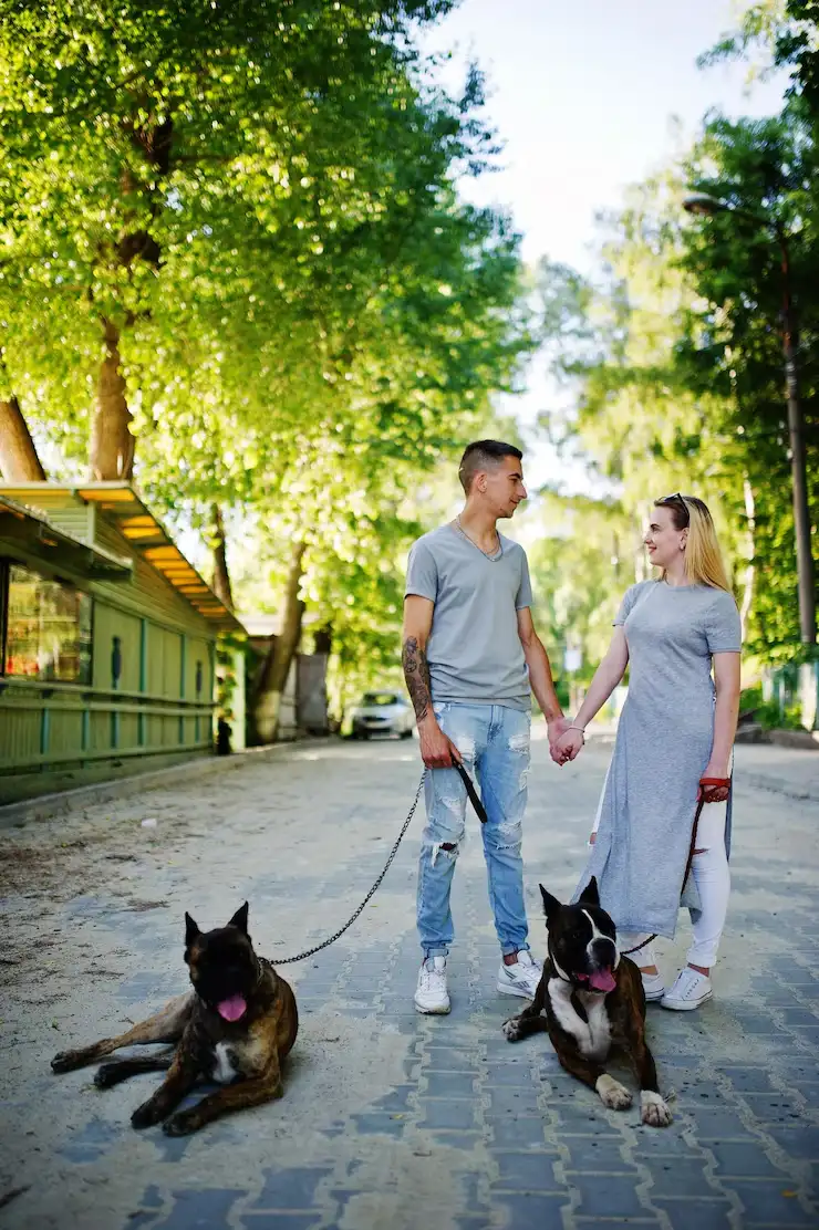 Ground Transport Across the Czech Republic