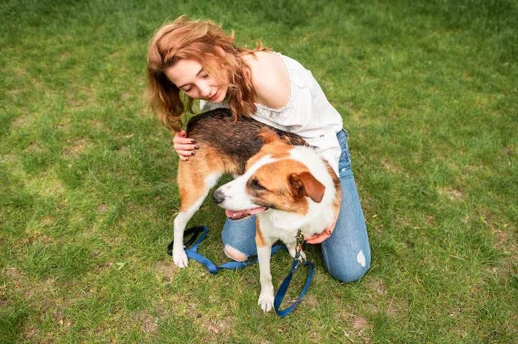 Hungarian Pet Import Clearance Handling
