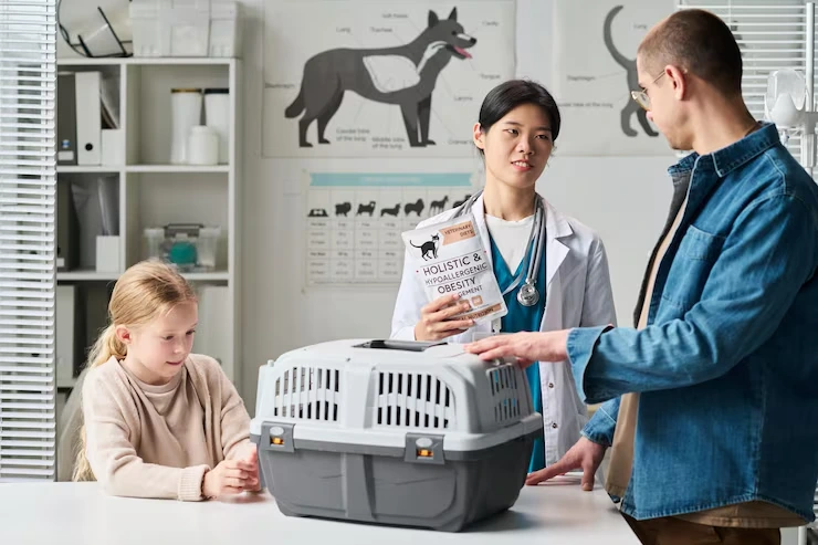 IATA-Compliant Travel Crate Assessment and Preparation