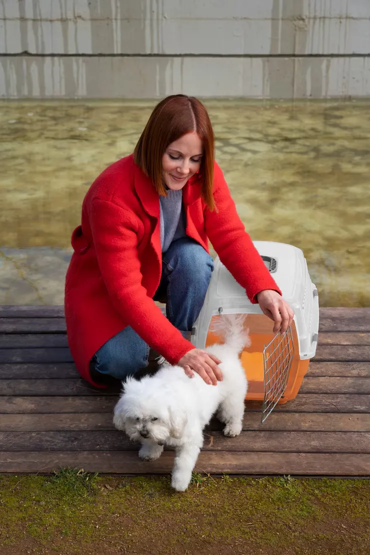 IATA-Compliant Travel Crate Assessment and Preparation