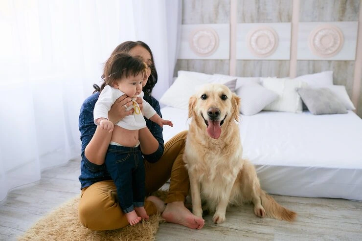 In-Cabin Pet Handling and Comfort Oversight​