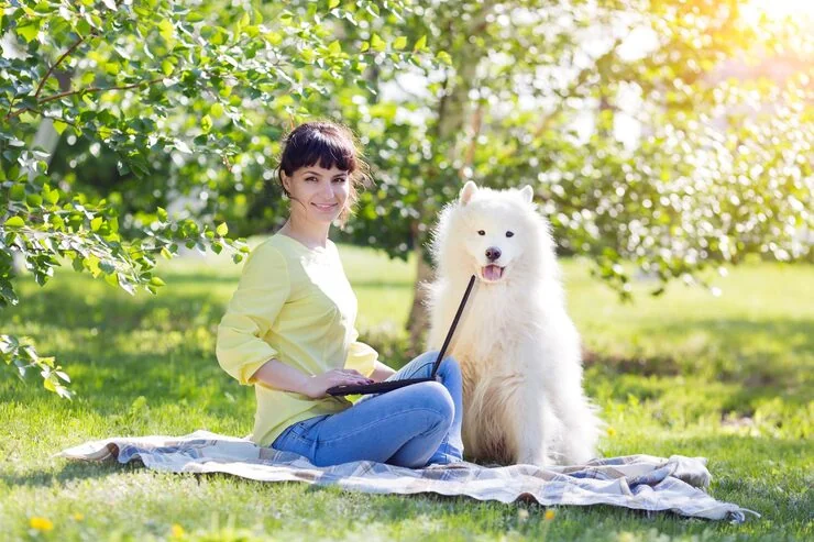 In-Flight Pet Comfort and Monitoring Protocols