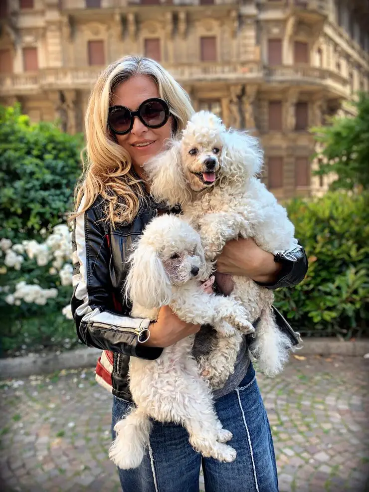 International Pet Transport Logistics and Airline Coordination