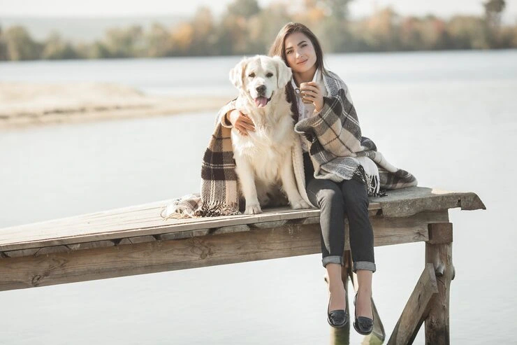 Italian Import Approval and Border Clearance