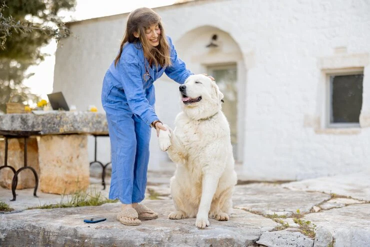 Multi-Pet and Complex Case Management