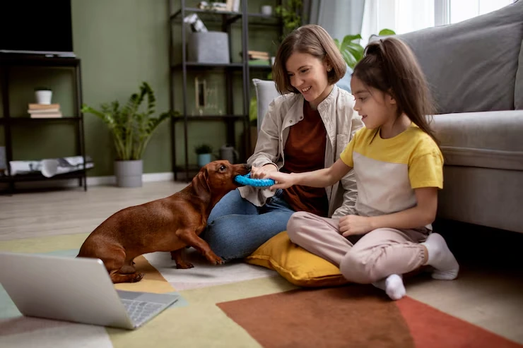 Multi-Pet and Family Relocation Coordination