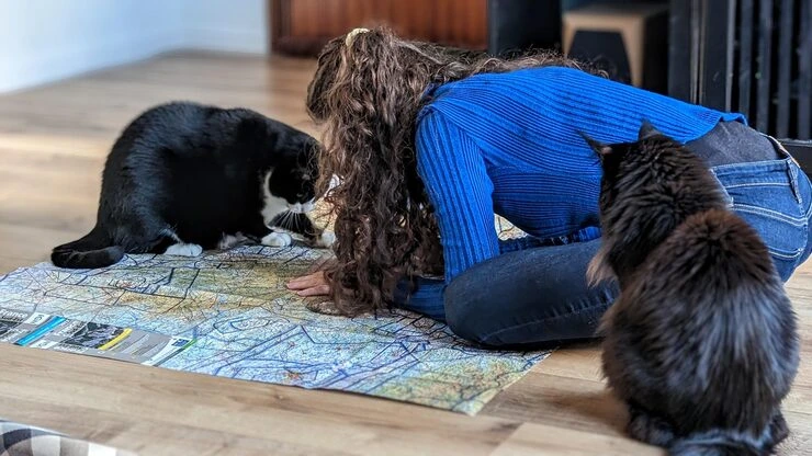 Multi-Pet and Large Breed Relocation Planning