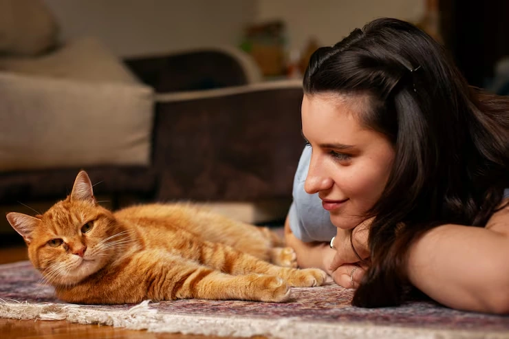 Multi-Pet and Special Case Relocation