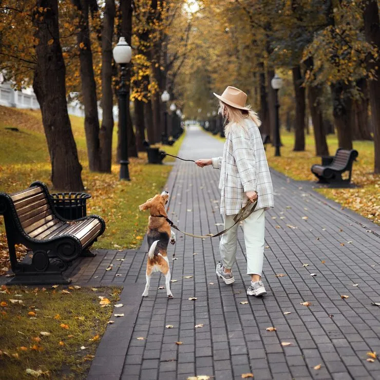 Norwegian Import Clearance and Border Coordination