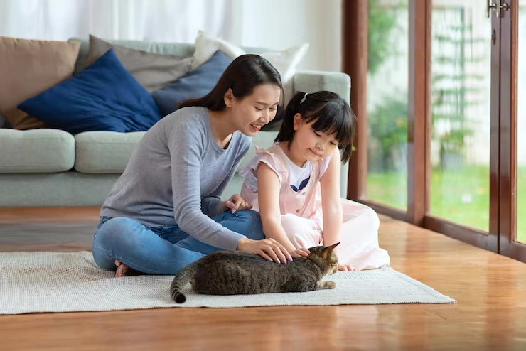 Owner Guidance and Real-Time Oversight