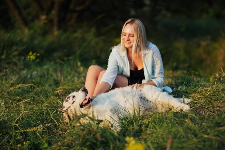 Owner Guidance and Risk Management Oversight