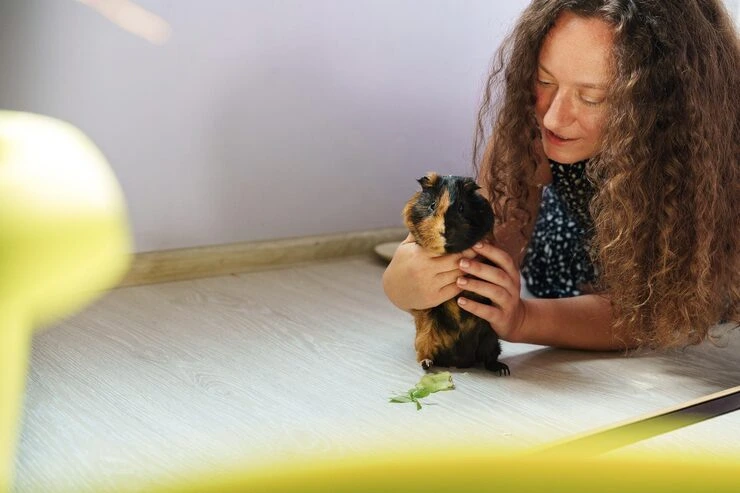 Complex Case Management and Special Circumstances