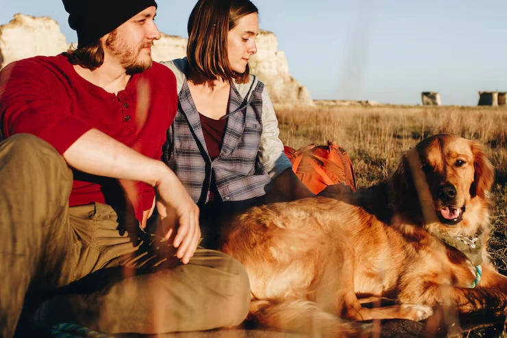 Customs Clearance in the Czech Republic