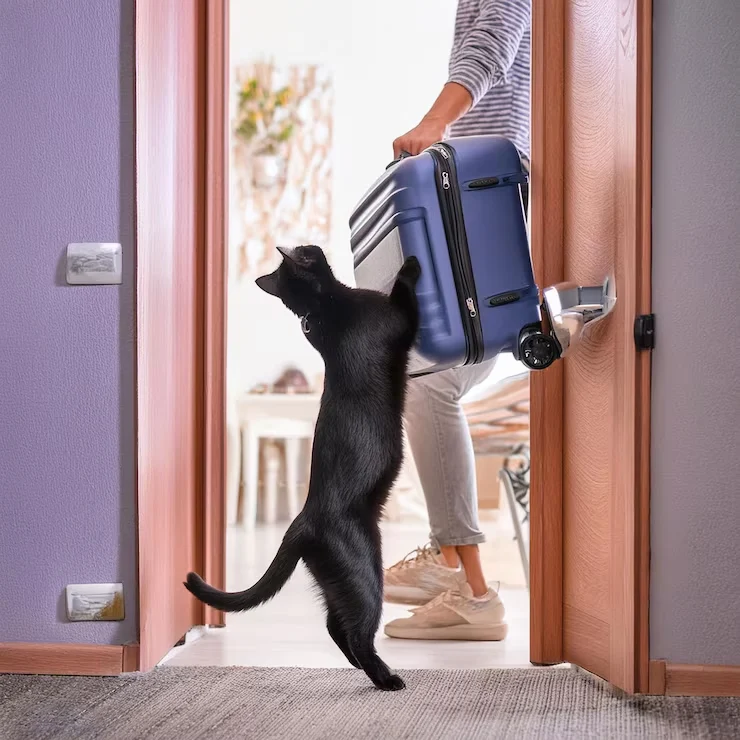 Door-to-Airport and Airport-to-Home Logistics
