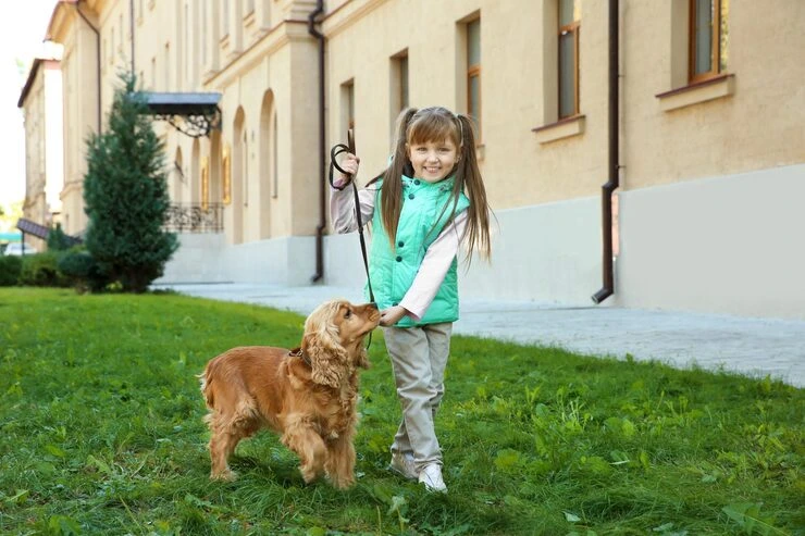 Door to Door Collection in Canada