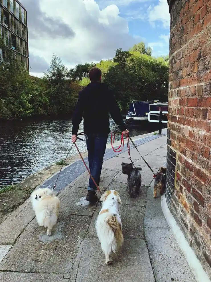 Door-to-Door Ground Transport in Canada and Spain