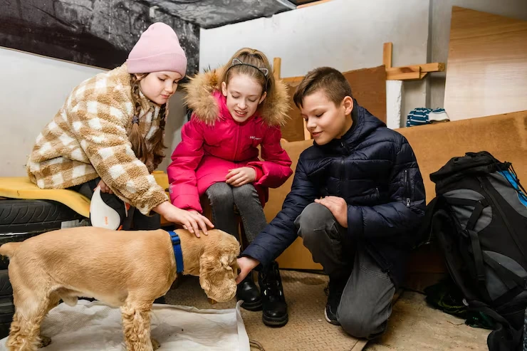 Final Home Delivery in Iceland