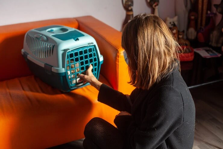 IATA-Compliant Travel Crate Engineering