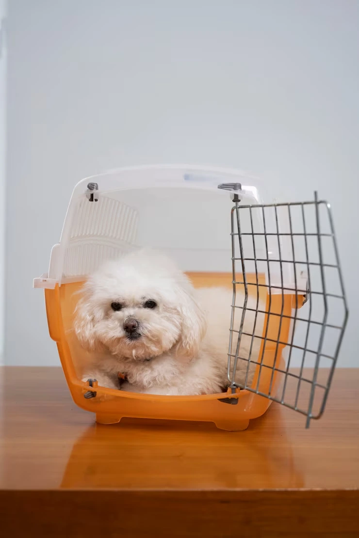 International Air Transport and IATA Crate Preparation